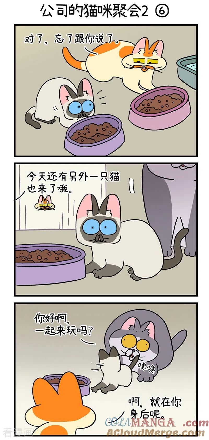第66话2公司的猫咪聚会2-阿满和麦茶-新漫画 日胖大海寺（第4张）