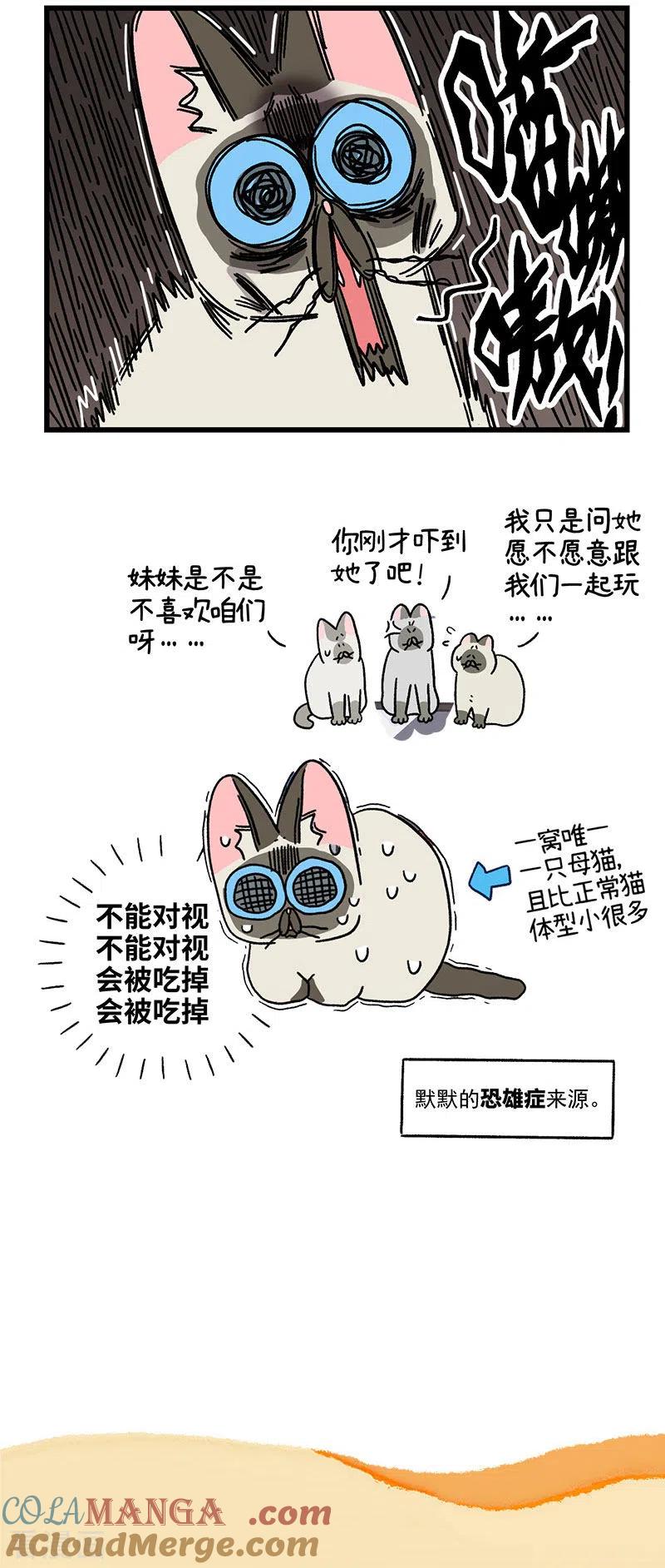 第66话2公司的猫咪聚会2-阿满和麦茶-新漫画 日胖大海寺（第5张）