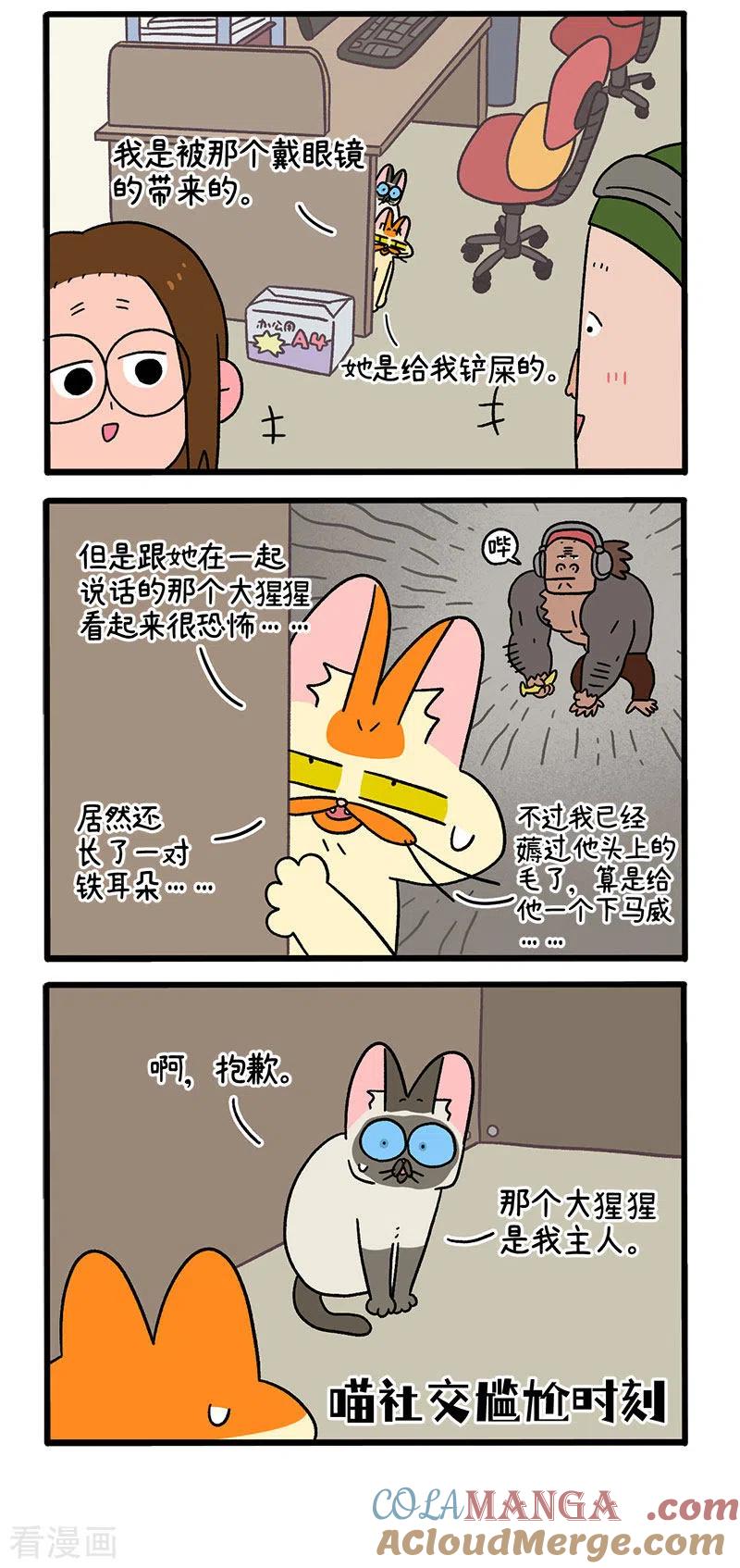 第66话2公司的猫咪聚会2-阿满和麦茶-新漫画 日胖大海寺（第2张）