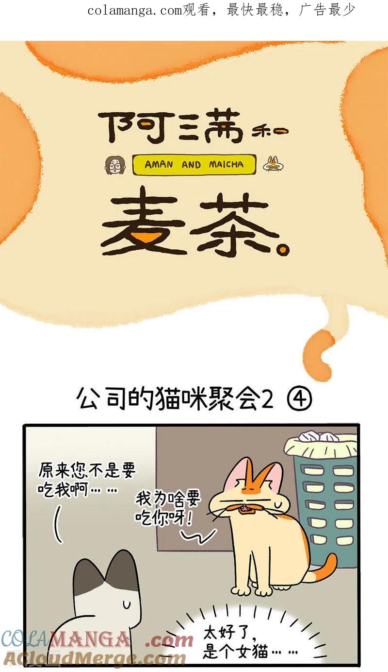 第66话2公司的猫咪聚会2-阿满和麦茶-新漫画 日胖大海寺（第1张）