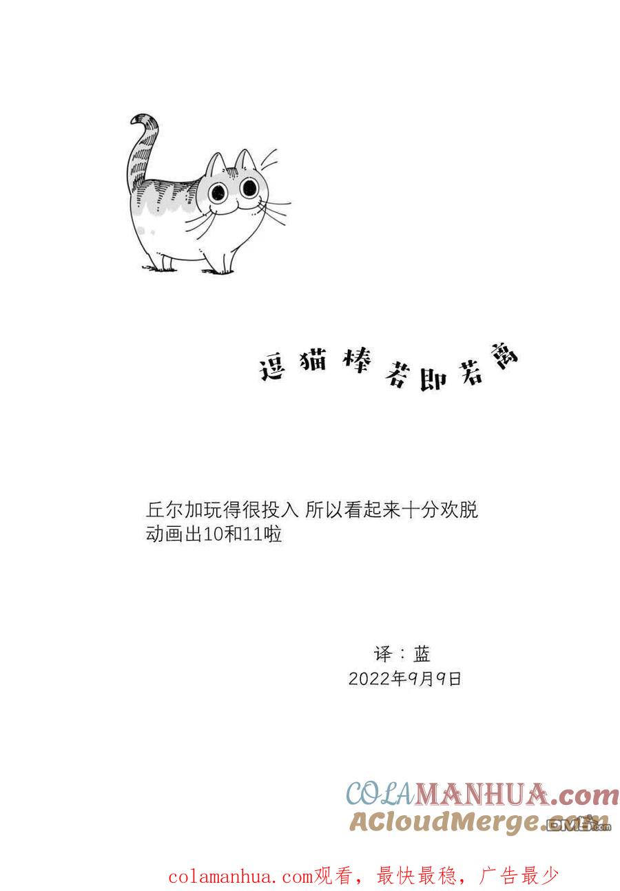 第131话-关于养猫我一直是新手-キュルZ（第2张）