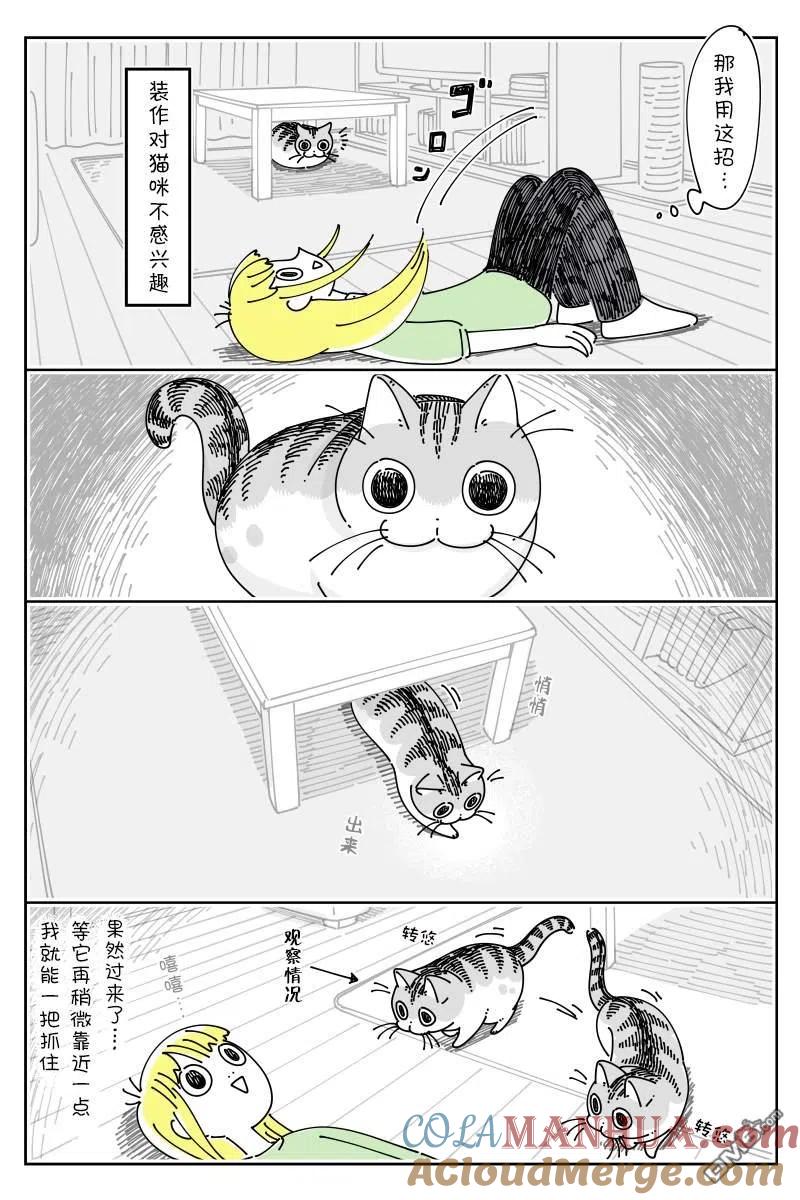 第132话-关于养猫我一直是新手-キュルZ（第2张）