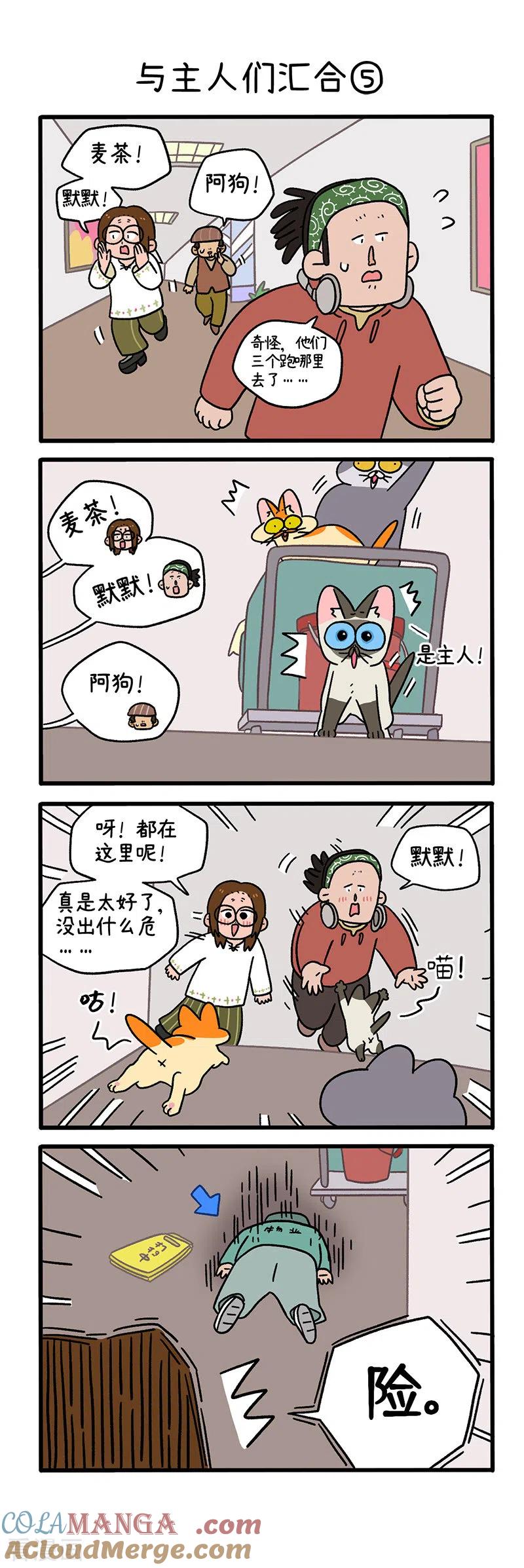 第75话2与主人们汇合-阿满和麦茶-新漫画 日胖大海寺（第3张）