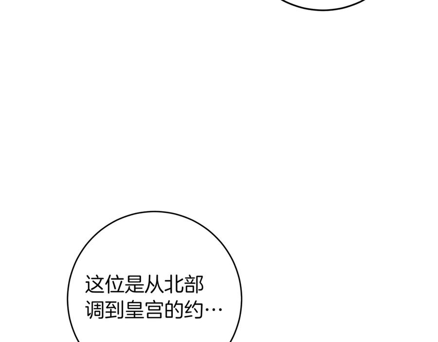 96.jpg