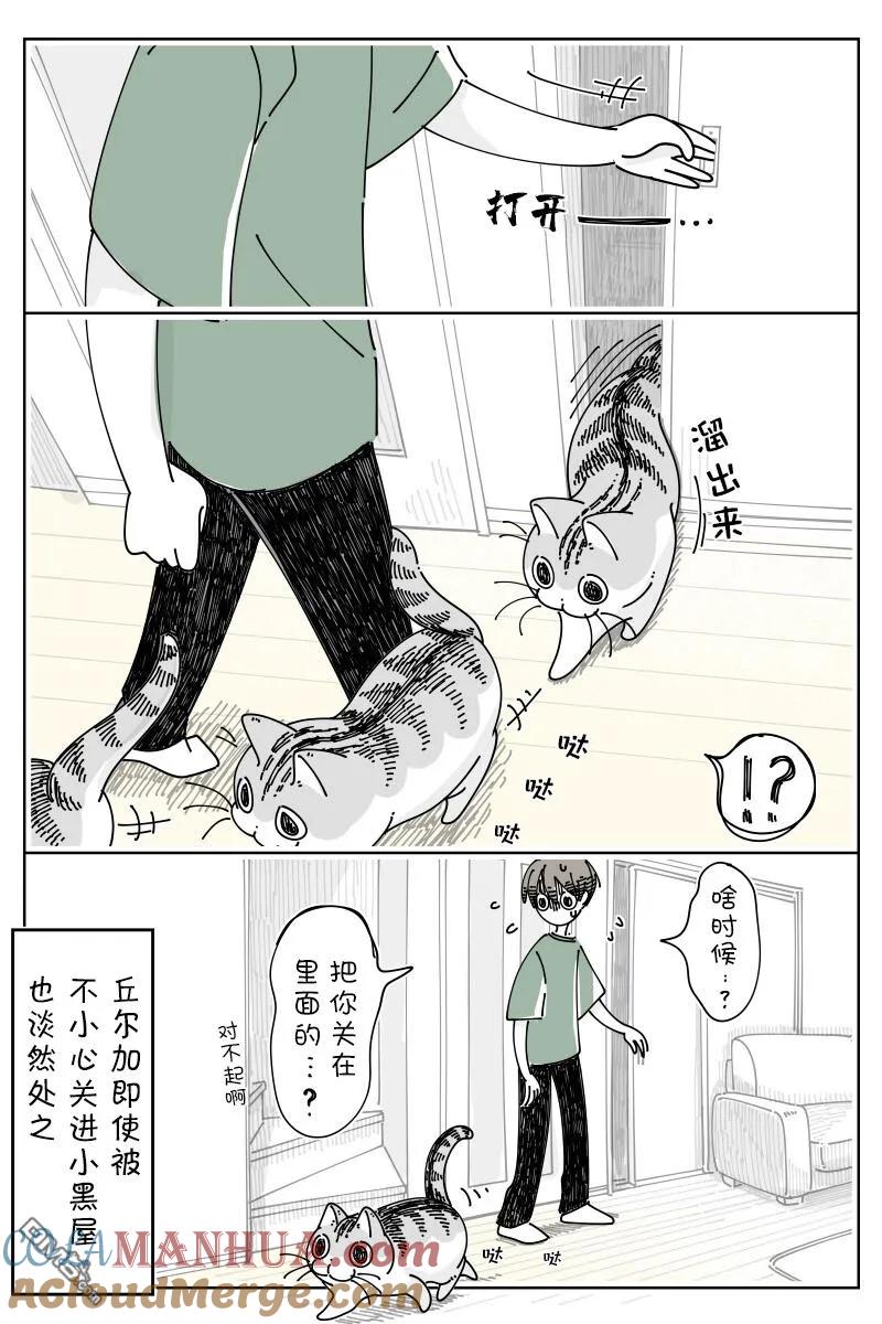 第170话-关于养猫我一直是新手-キュルZ（第1张）