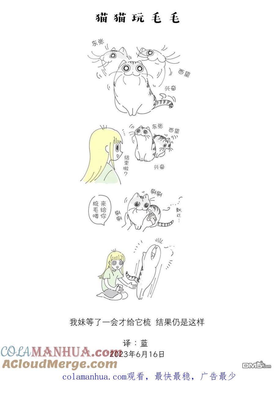 第171话-关于养猫我一直是新手-キュルZ（第2张）