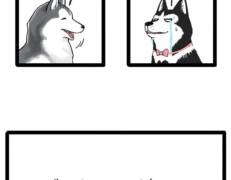 62.jpg