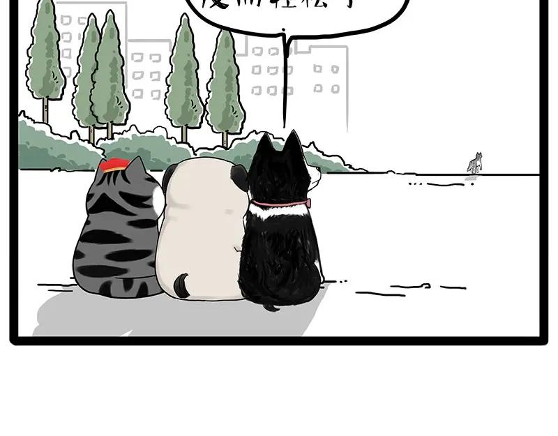 71.jpg
