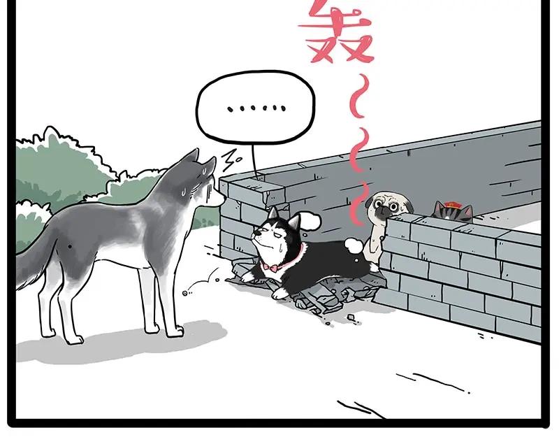 56.jpg