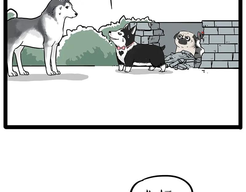 58.jpg