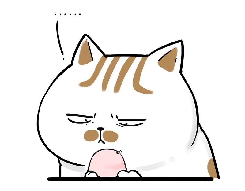 54.jpg