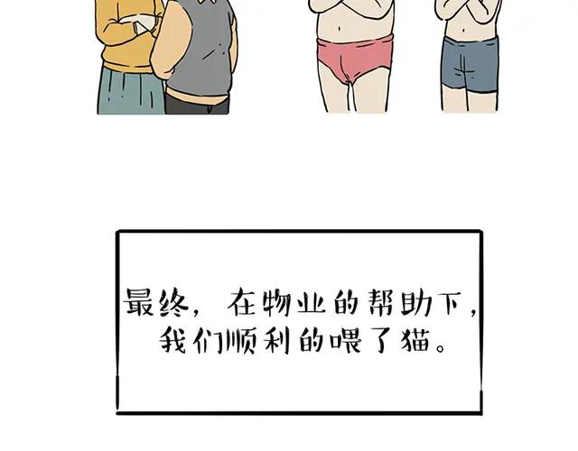 56.jpg