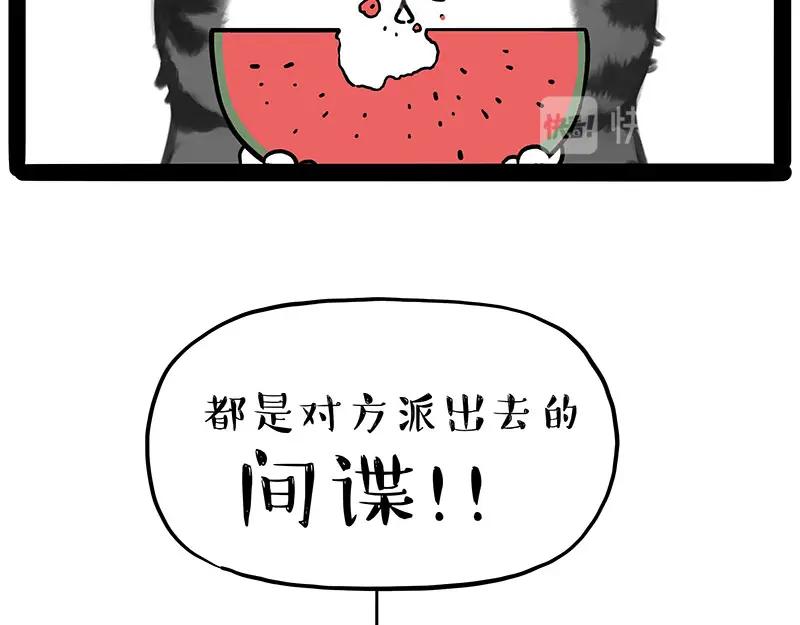 39.jpg