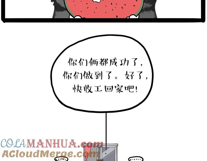 43.jpg