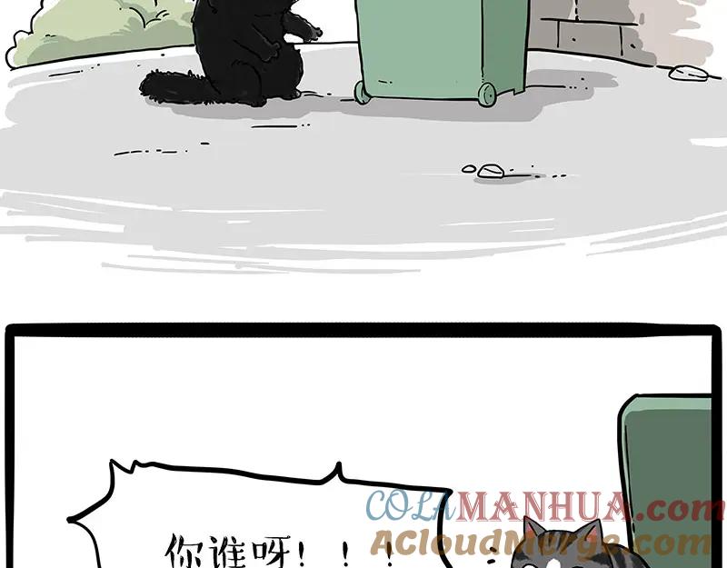 43.jpg