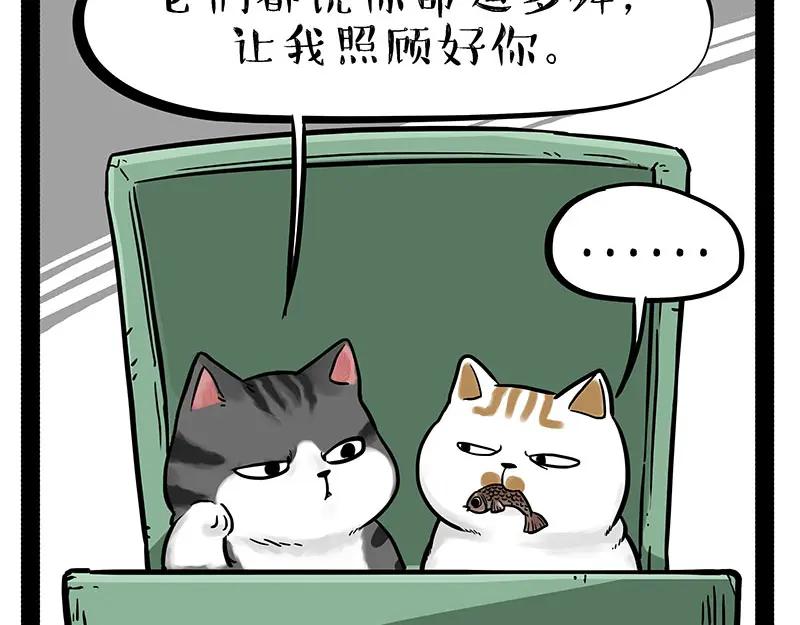 45.jpg