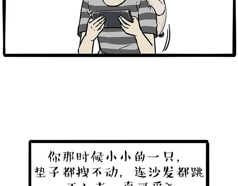 39.jpg