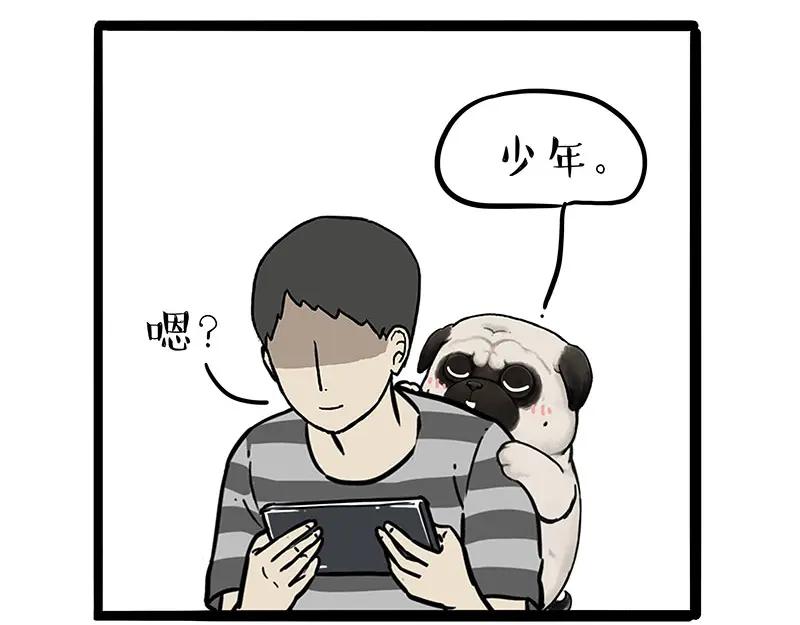 41.jpg