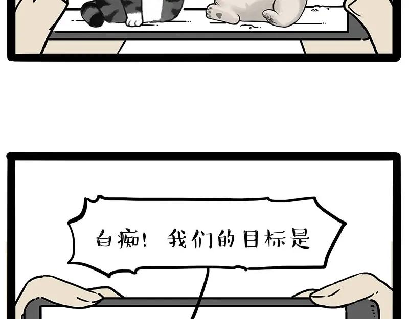 50.jpg