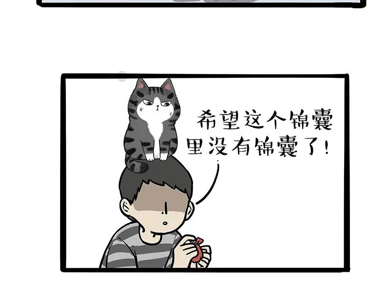 50.jpg
