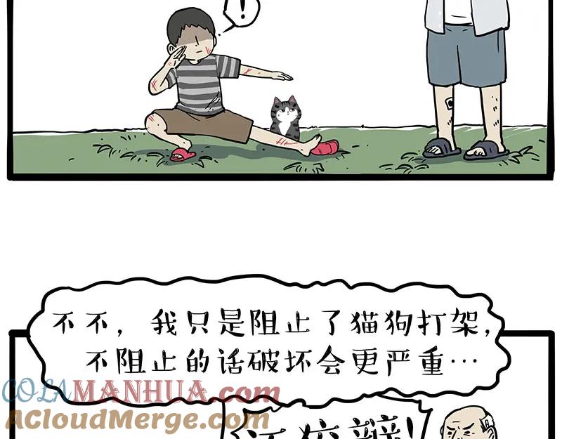 43.jpg