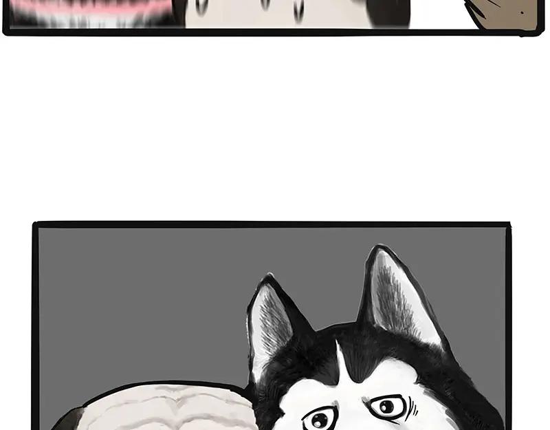 56.jpg
