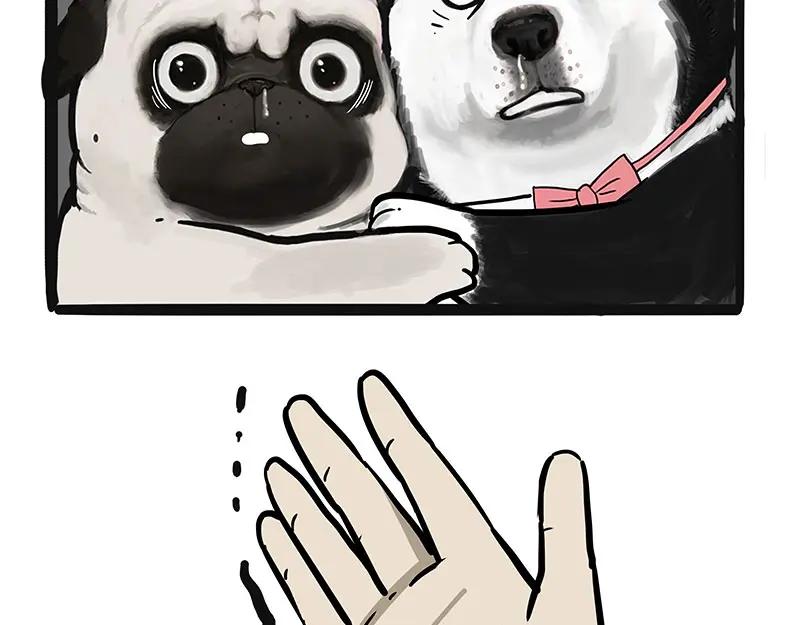 57.jpg