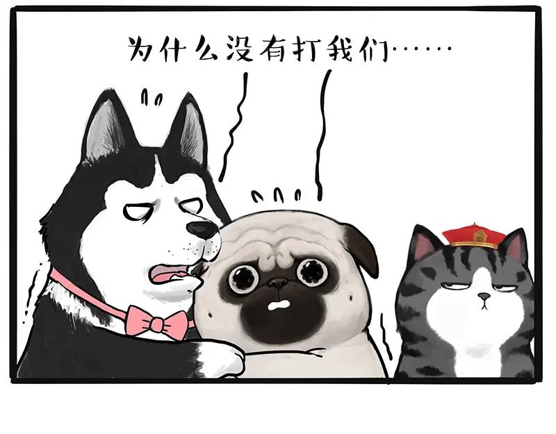 62.jpg