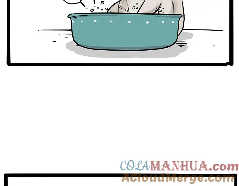 46.jpg