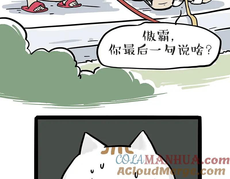40.jpg