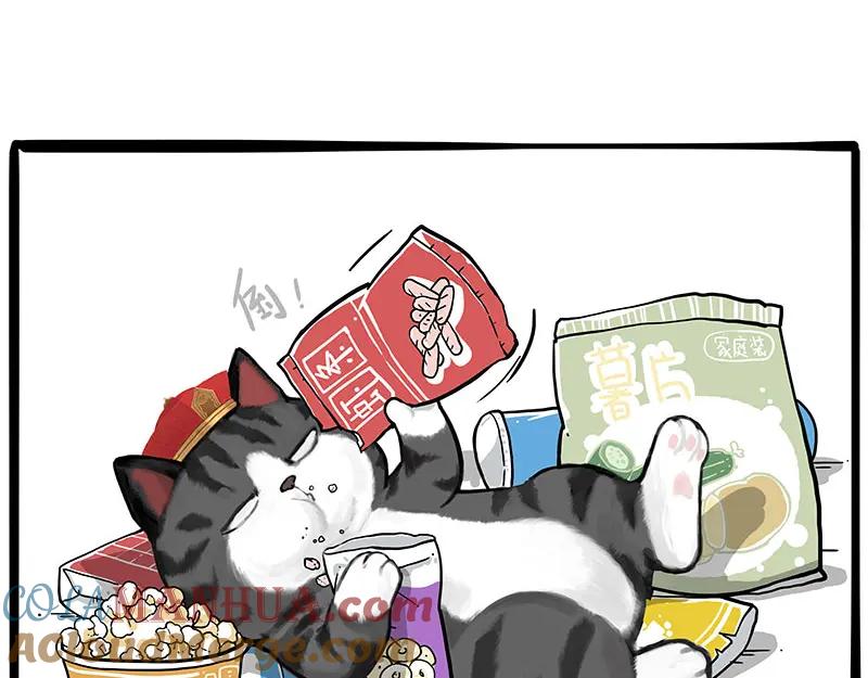 37.jpg