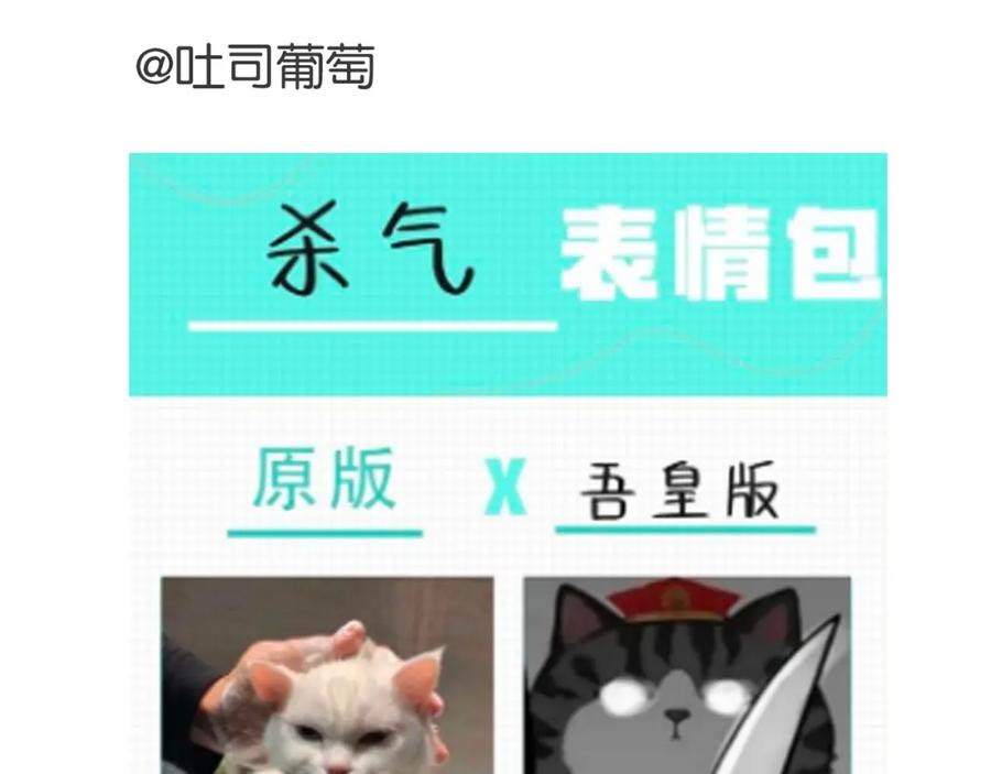 56.jpg