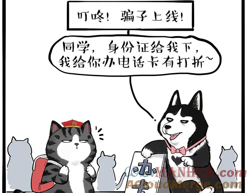 43.jpg
