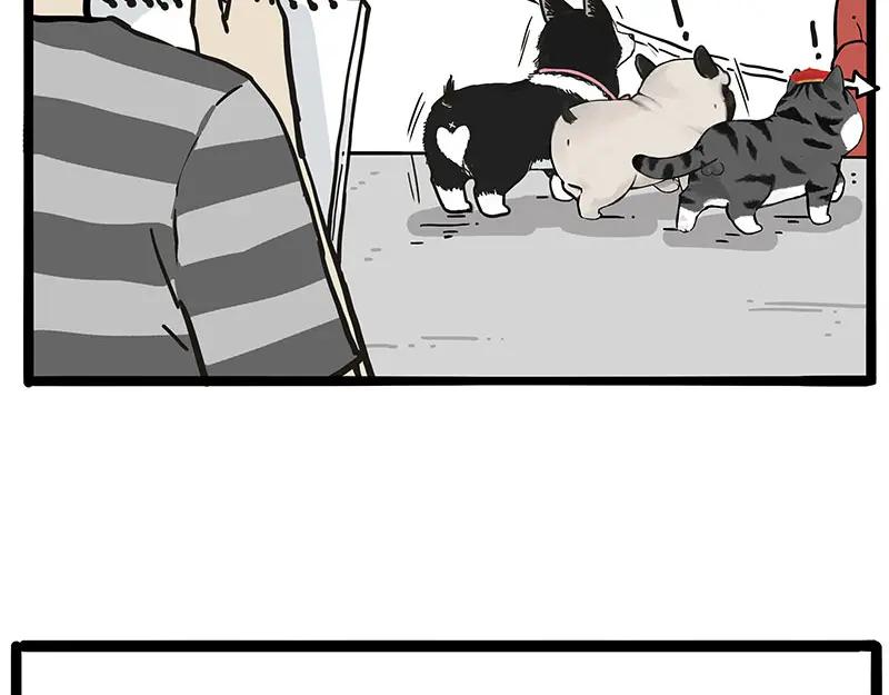 23.jpg