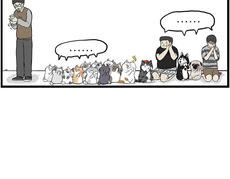 41.jpg
