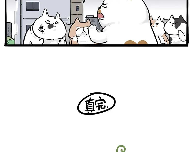 77.jpg