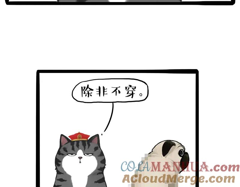 63.jpg