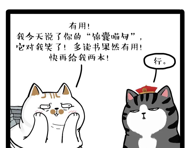 47.jpg