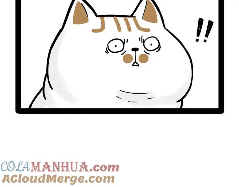 70.jpg