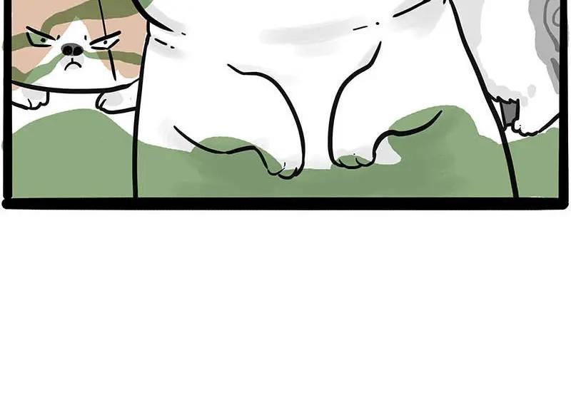 63.jpg