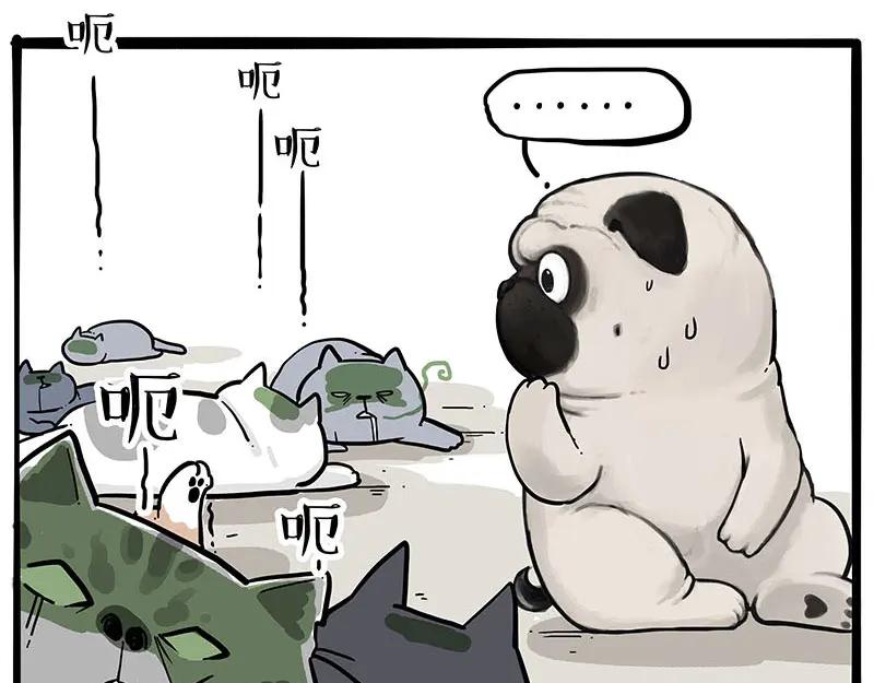 66.jpg