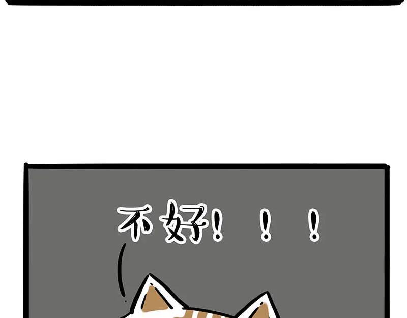 56.jpg