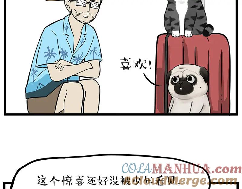 31.jpg