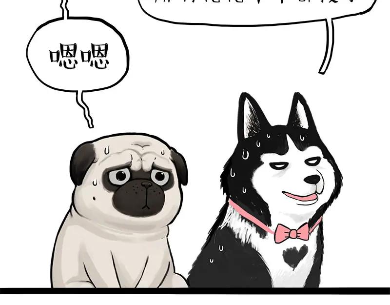 54.jpg