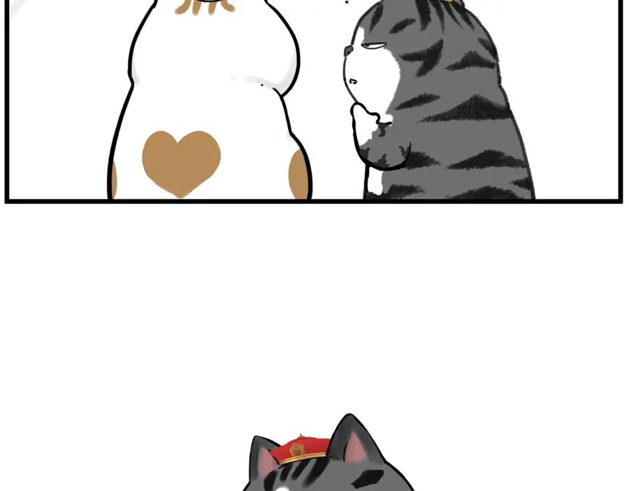 65.jpg