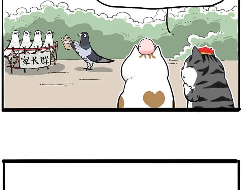 32.jpg