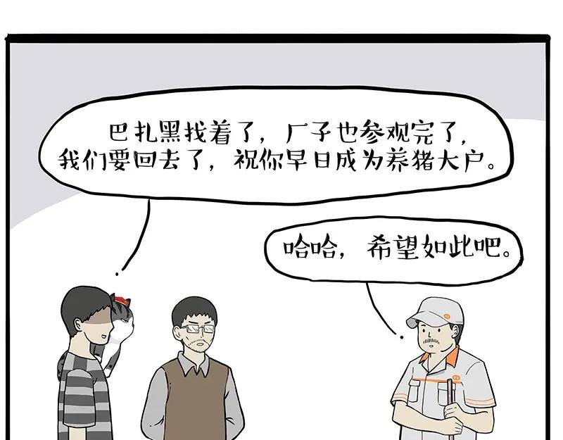 47.jpg
