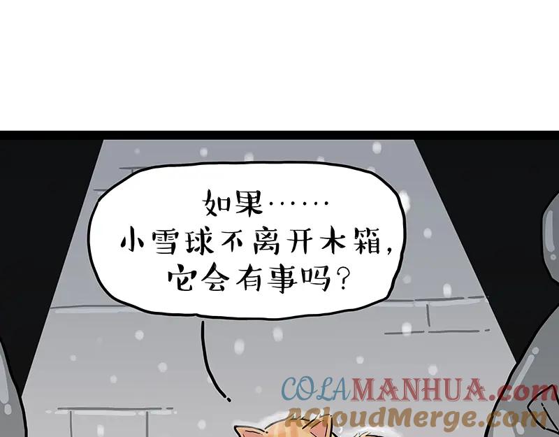73.jpg