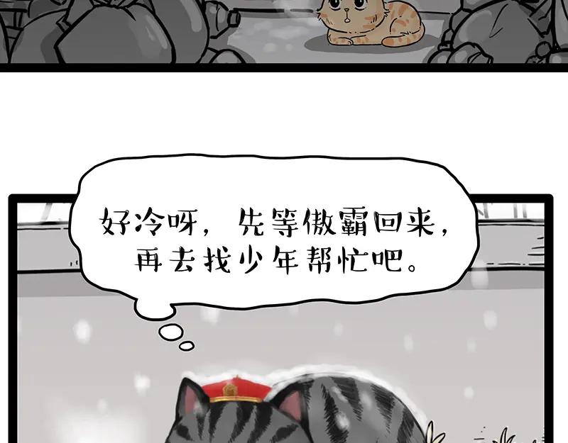 78.jpg