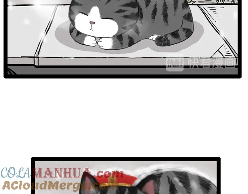 79.jpg
